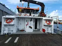 Catamaran de vânzare