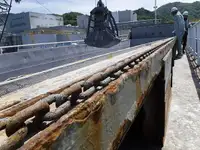 Nava de transport marfă vrac de vânzare