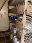 Dragă de vânzare