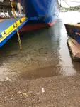 Navă Ro-Ro de vânzare
