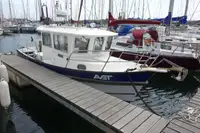 Ambarcațiuni de lucru de vânzare