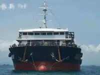 Nava de transport marfă vrac de vânzare