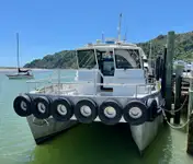 Catamaran de vânzare
