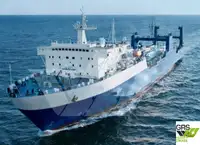 Ro-Ro ship de vânzare