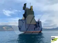 Ro-Ro ship de vânzare