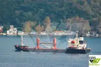 Nava de transport marfă vrac de vânzare