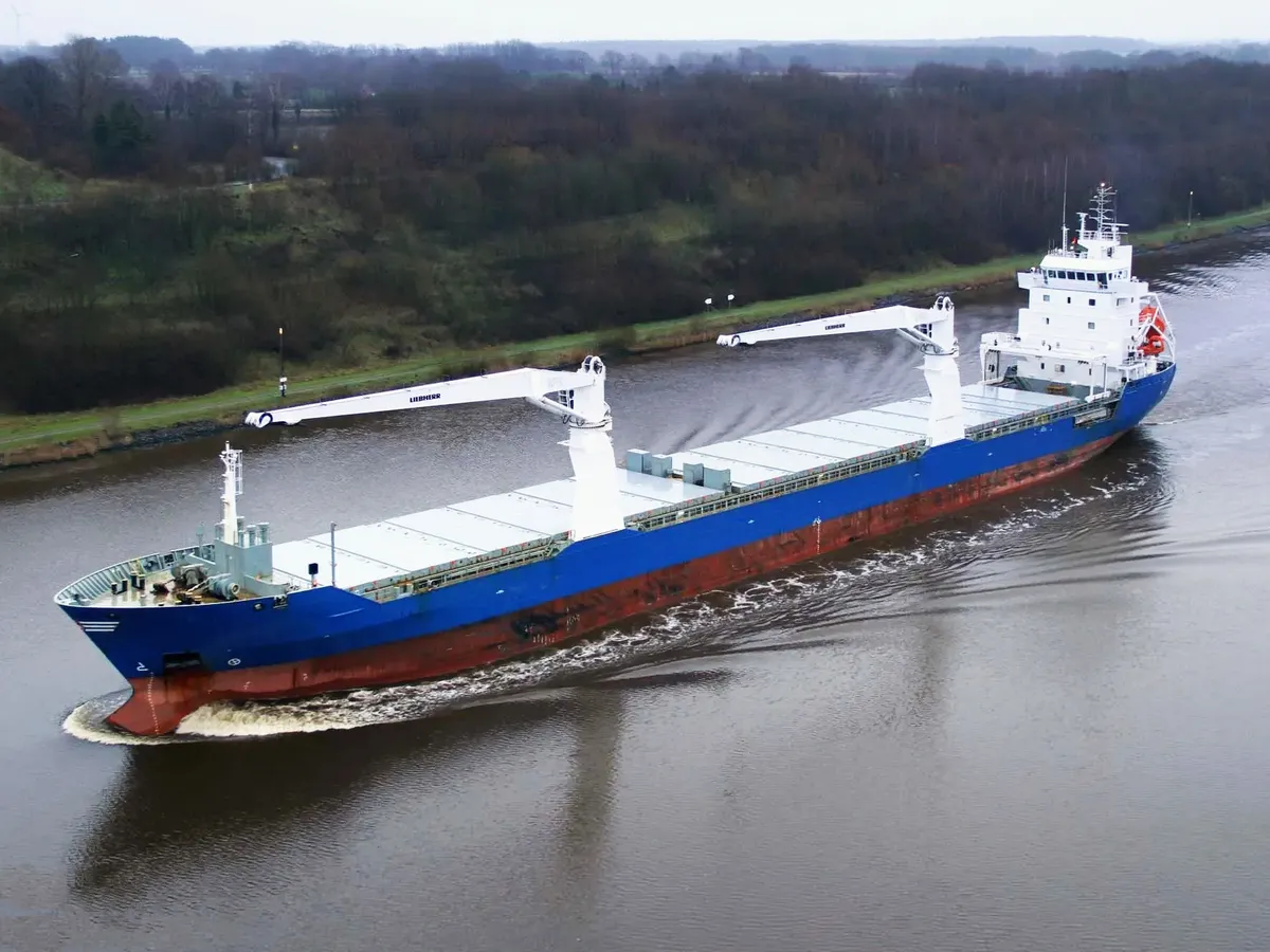 General Cargo/Multi-purpose de vânzare