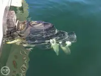 Nava de pescuit tip trauler de vânzare