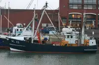 Trawler de vânzare