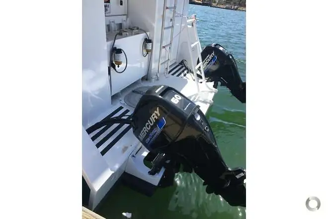 Catamaran de vânzare