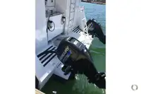Catamaran de vânzare