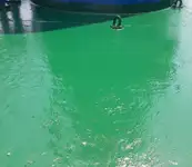 Nava de transport marfă vrac de vânzare