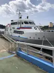 Nava de transport marfă vrac de vânzare