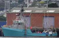 Trawler de vânzare