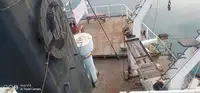 Nava de transport marfă vrac de vânzare