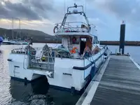 Catamaran de vânzare