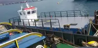Ambarcațiuni de lucru de vânzare