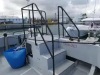 Catamaran de vânzare