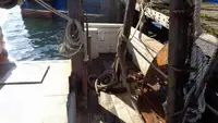 Nava de pescuit tip trauler de vânzare