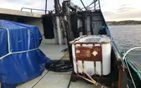 Nava de pescuit tip trauler de vânzare