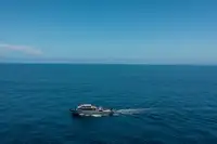 Nava de inspecție de vânzare