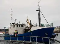 Trawler de vânzare