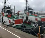Remorcher de vânzare