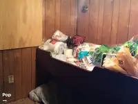 Nava de pescuit tip trauler de vânzare