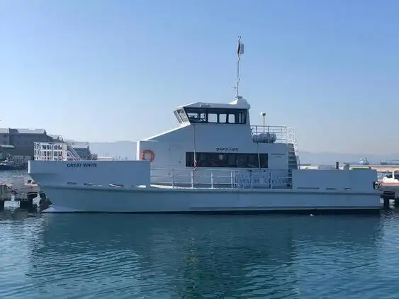 Catamaran de vânzare