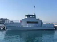 Catamaran de vânzare