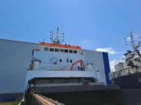 Nava de transport marfă vrac de vânzare