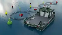 Catamaran de vânzare