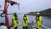 Remorcher de vânzare