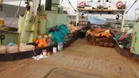 Nava de pescuit tip trauler de vânzare
