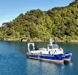 Catamaran de vânzare