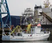 Nava container de vânzare
