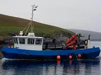 Bărci de lucru de vânzare