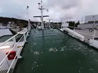 Nava de transport marfă vrac de vânzare