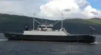 Navă Ro-Ro de vânzare