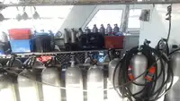 Catamaran de vânzare