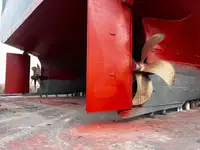 Dragă de vânzare