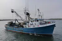 Nava de pescuit cu plase purseine de vânzare