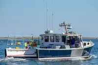 Purse seiner de vânzare