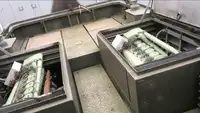 Remorcher de vânzare