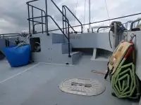 Catamaran de vânzare