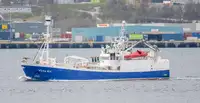 Purse seiner de vânzare
