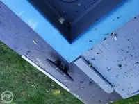 Navă de feribot de vânzare