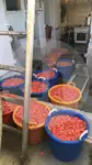 Nava de pescuit cu plase tip traul de vânzare