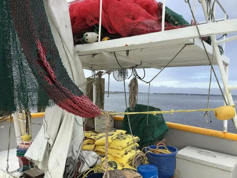 Nava de pescuit tip trauler de vânzare
