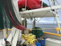 Nava de pescuit tip trauler de vânzare